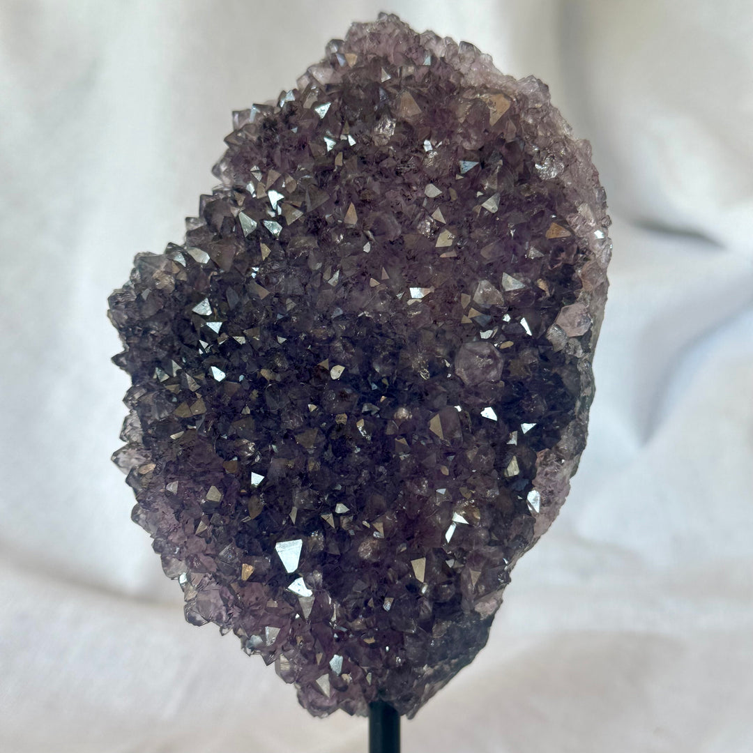 Brilliant Sparkle Brazilian Amethyst on stand 7" 1N